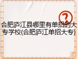 合肥庐江县哪里有单招的大专学校(合肥庐江单招大专)