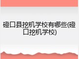磴口县挖机学校有哪些(磴口挖机学校)