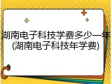 湖南电子科技学费多少一年(湖南电子科技年学费)