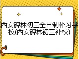 西安碑林初三全日制补习学校(西安碑林初三补校)