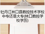 牡丹江林口县数控技术学校中专还是大专(林口数控学校学历)