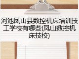 河池凤山县数控机床培训技工学校有哪些(凤山数控机床技校)