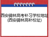 西安碑林高考补习学校地址(西安碑林高补校址)