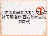 西安莲湖高考艺考生文化课补习班推荐(西安艺考文化课辅导)