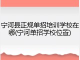 宁河县正规单招培训学校在哪(宁河单招学校位置)
