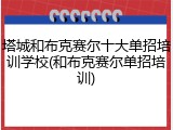 塔城和布克赛尔十大单招培训学校(和布克赛尔单招培训)