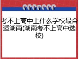 考不上高中上什么学校最合适湖南(湖南考不上高中选校)