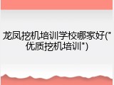 龙凤挖机培训学校哪家好("优质挖机培训")