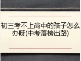 初三考不上高中的孩子怎么办呀(中考落榜出路)