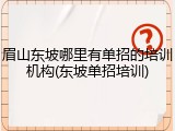 眉山东坡哪里有单招的培训机构(东坡单招培训)