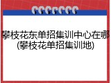 攀枝花东单招集训中心在哪(攀枝花单招集训地)