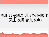 凤山县挖机培训学校在哪里(凤山挖机培训地点)