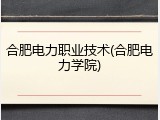 合肥电力职业技术(合肥电力学院)