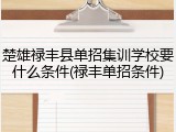 楚雄禄丰县单招集训学校要什么条件(禄丰单招条件)