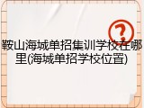鞍山海城单招集训学校在哪里(海城单招学校位置)