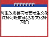 阿里改则县高考艺考生文化课补习班推荐(艺考文化补习班)