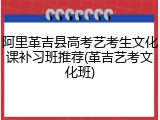 阿里革吉县高考艺考生文化课补习班推荐(革吉艺考文化班)