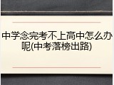 中学念完考不上高中怎么办呢(中考落榜出路)