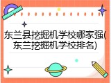 东兰县挖掘机学校哪家强(东兰挖掘机学校排名)