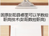 固原彭阳县哪里可以学数控职高技术(彭阳数控职高)