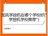 龙凤学挖机在哪个学校好("学挖机学校推荐")