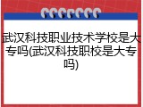 武汉科技职业技术学校是大专吗(武汉科技职校是大专吗)