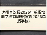 达州宣汉县2026年单招培训学校有哪些(宣汉2026单招学校)