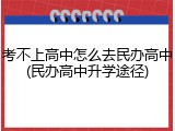 考不上高中怎么去民办高中(民办高中升学途径)