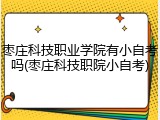枣庄科技职业学院有小自考吗(枣庄科技职院小自考)