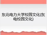 东北电力大学校园文化(东电校园文化)