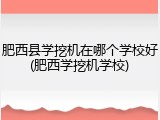 肥西县学挖机在哪个学校好(肥西学挖机学校)
