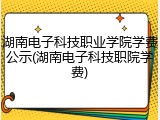 湖南电子科技职业学院学费公示(湖南电子科技职院学费)