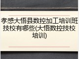 孝感大悟县数控加工培训班技校有哪些(大悟数控技校培训)