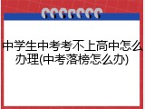 中学生中考考不上高中怎么办理(中考落榜怎么办)