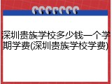 深圳贵族学校多少钱一个学期学费(深圳贵族学校学费)