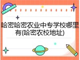 哈密哈密农业中专学校哪里有(哈密农校地址)