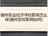 锦州农业经济学校职高怎么样(锦州农校职高如何)