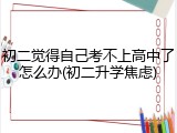 初二觉得自己考不上高中了怎么办(初二升学焦虑)