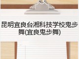 昆明宜良台湘科技学校鬼步舞(宜良鬼步舞)