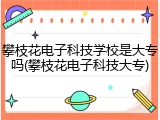 攀枝花电子科技学校是大专吗(攀枝花电子科技大专)