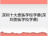 深圳十大贵族学校学费(深圳贵族学校学费)