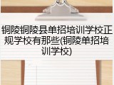 铜陵铜陵县单招培训学校正规学校有那些(铜陵单招培训学校)