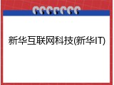 新华互联网科技(新华IT)