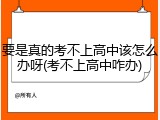 要是真的考不上高中该怎么办呀(考不上高中咋办)