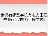 武汉有哪些学校有电力工程专业(武汉电力工程学校)