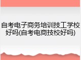 自考电子商务培训技工学校好吗(自考电商技校好吗)