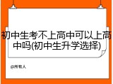 初中生考不上高中可以上高中吗(初中生升学选择)