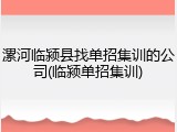 漯河临颍县找单招集训的公司(临颍单招集训)