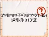 泸州市电子机械学校13级(泸州机电13级)