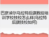 巴彦淖尔乌拉特后旗数控培训学校技校怎么样(乌拉特后旗技校如何)